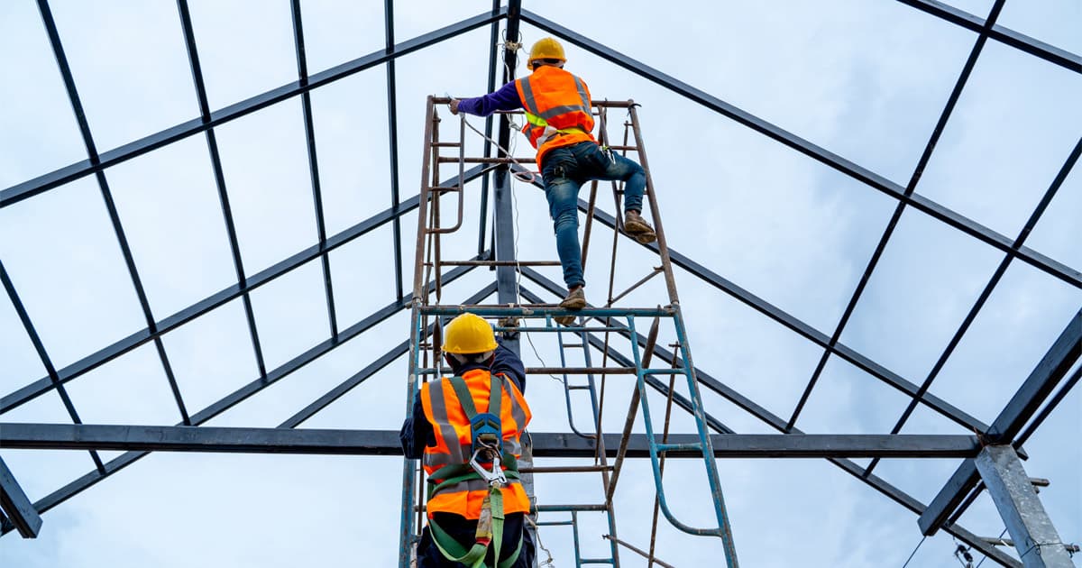 Professional installation team working on grow facility equipment