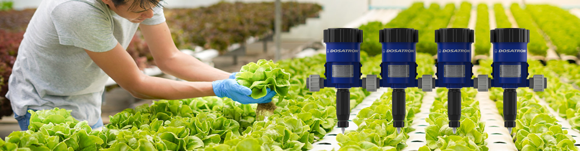Dosatron Nutrient Delivery System